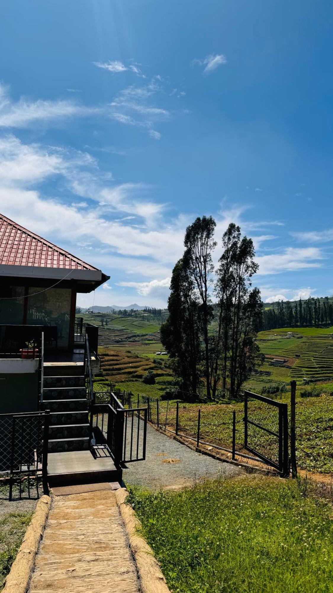 The Wooden Springs Bed and Breakfast Ooty Buitenkant foto