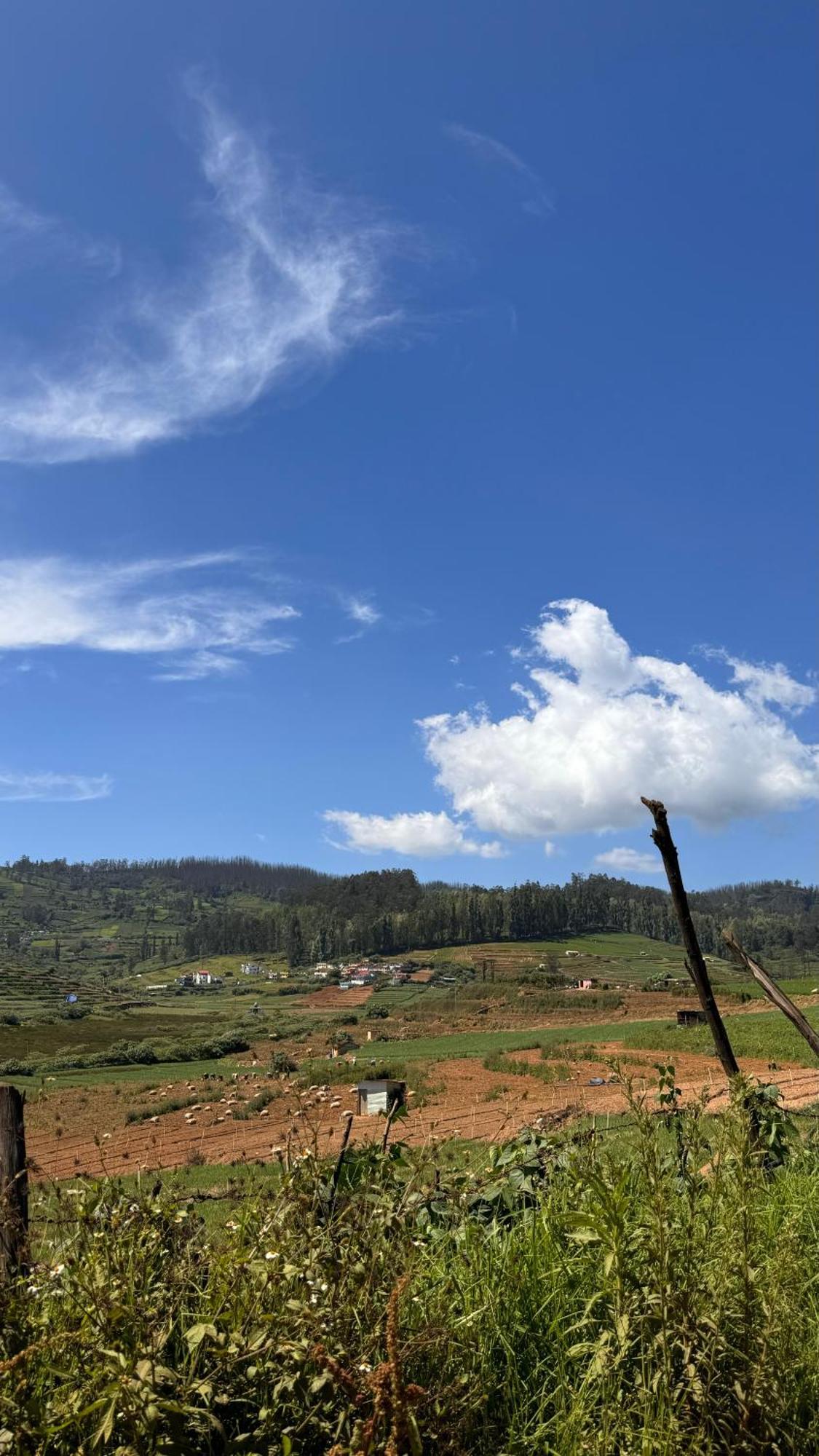 The Wooden Springs Bed and Breakfast Ooty Buitenkant foto